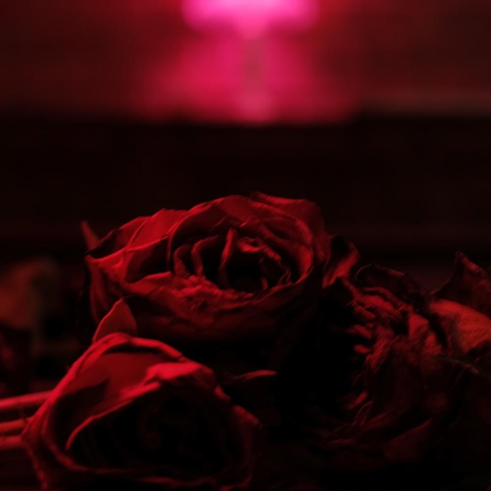 Album cover art for "By My Side" by The Paper Kites & Rosie Carney