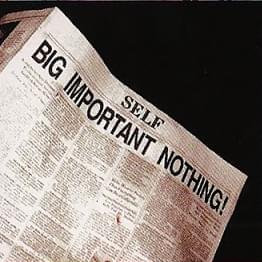 Album cover art for "Big Important Nothing" by ​sElf