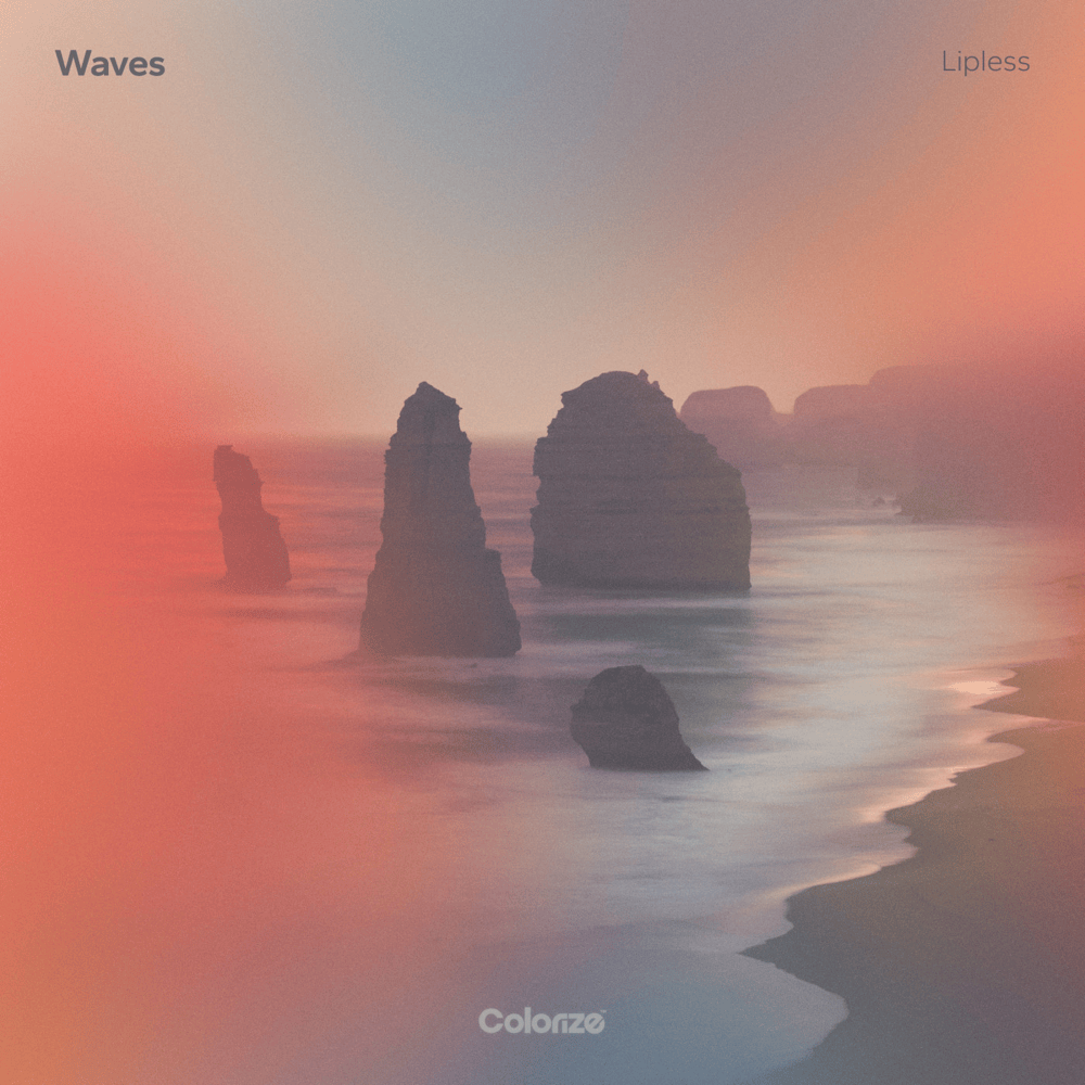 Cover image for Waves