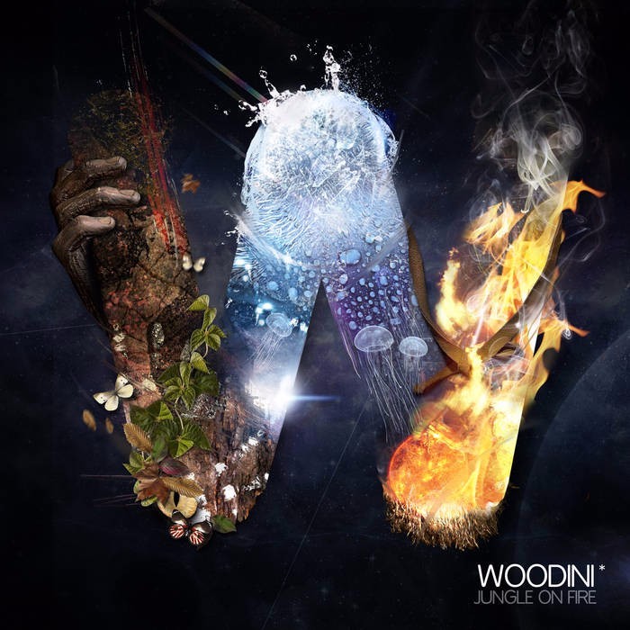 Birdz by Woodini