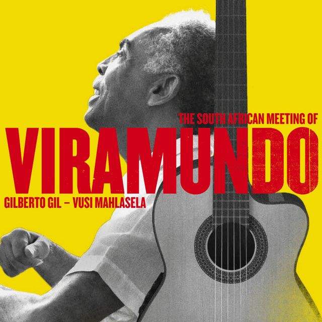 Cover image for The South African Meeting of Viramundo