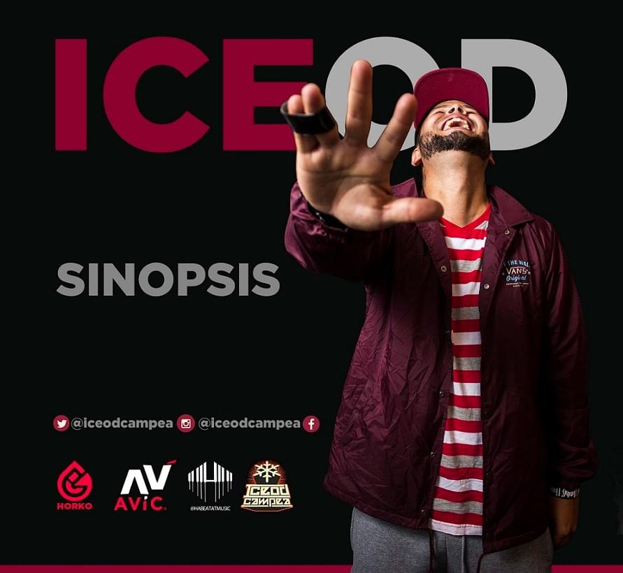 Cover image for Sinopsis