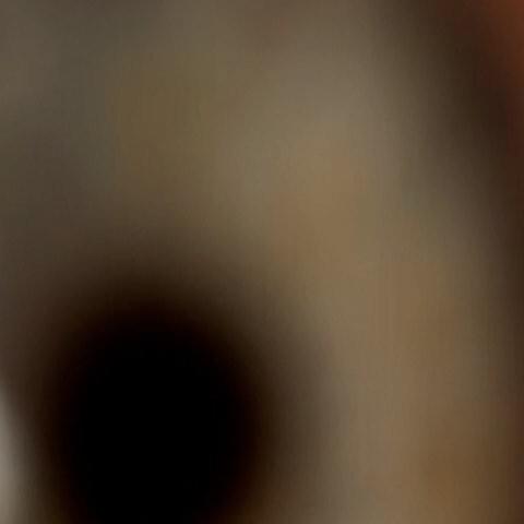 Cover image for Melaina Kol