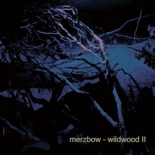 Cover image for Wildwood II