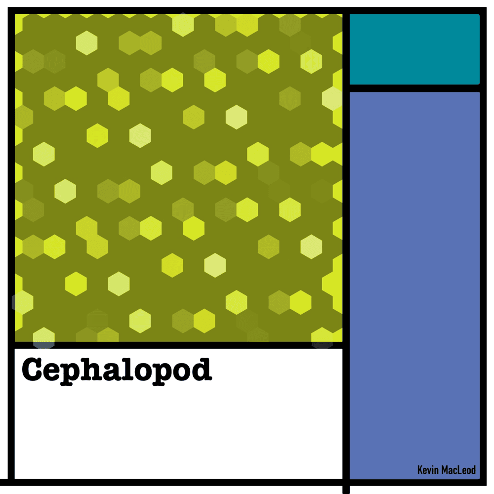 Cephalopod by Kevin MacLeod
