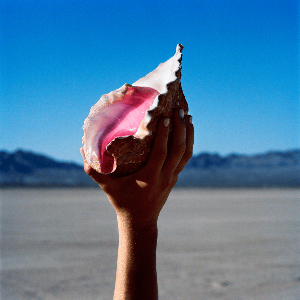 Cover image for Wonderful Wonderful