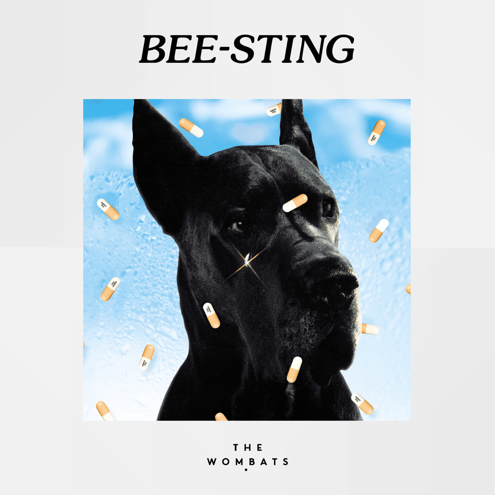 Album cover art for "Bee-Sting" by The Wombats