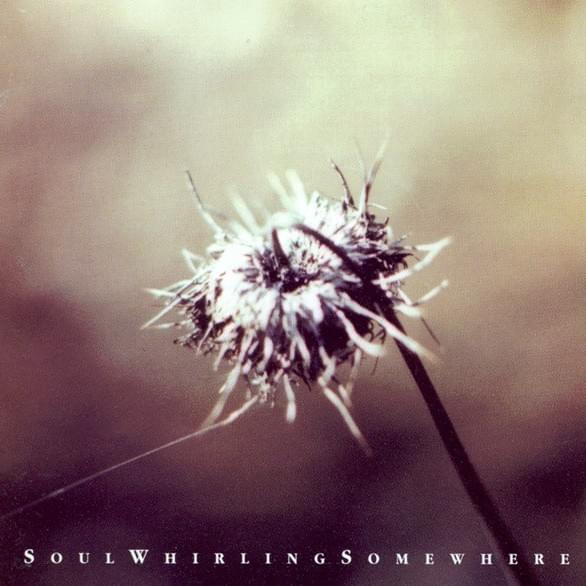 A Mouse in the Mouth by Soul Whirling Somewhere
