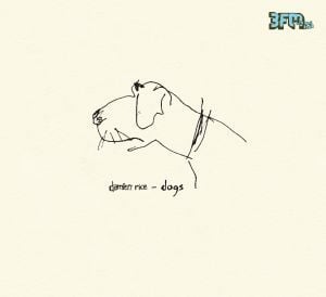 Album cover art for "Dogs" by Damien Rice