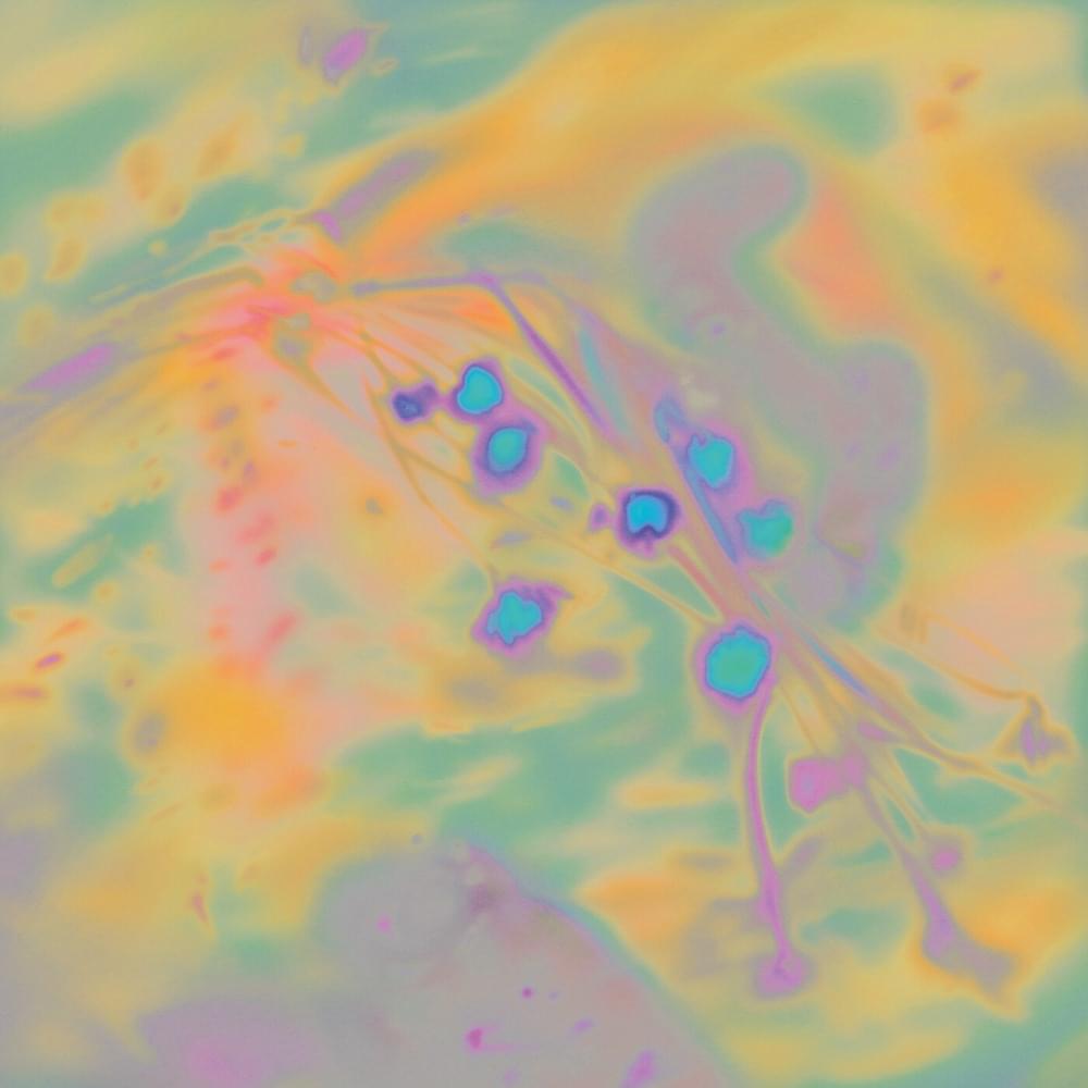 Meridians by Holly Waxwing