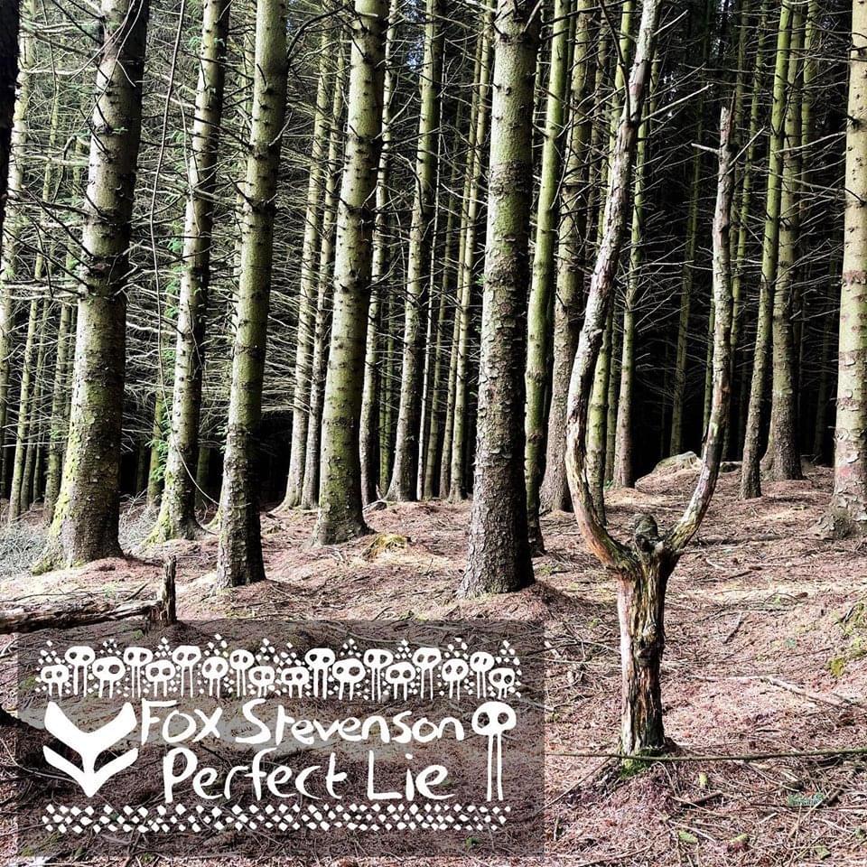 Album cover art for "Perfect Lie" by Fox Stevenson