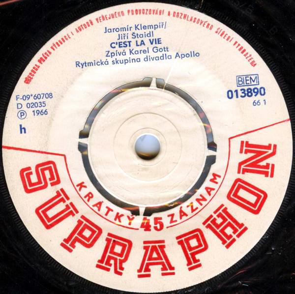 Cover image for Můj Každodenní Pláč / C’est La Vie