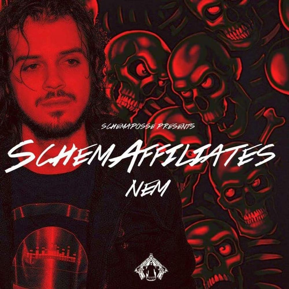 Cover image for Schemaffiliates