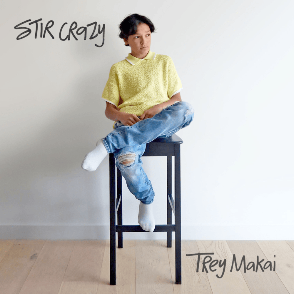 Stir Crazy by Trey Makai