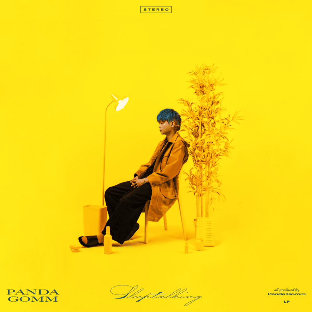Cover image for sleeptalking