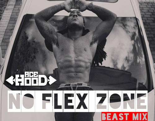 Album cover art for "No Flex Zone (Freestyle)" by Ace Hood