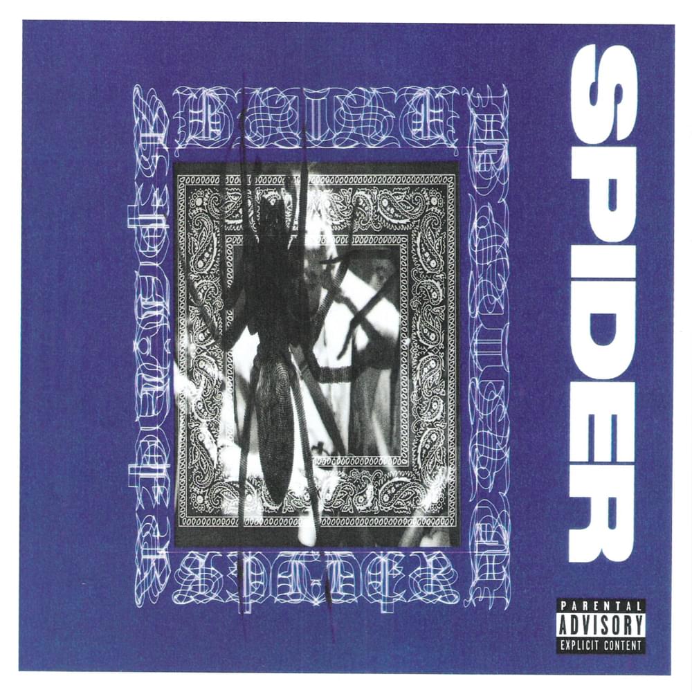 Album cover art for "spider" by Bitsu