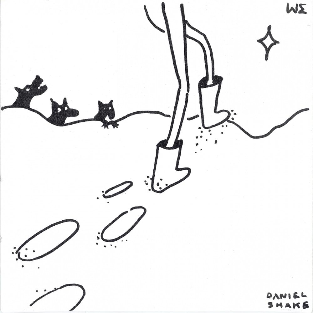 Album cover art for "Валенки ведут куда-то (Felt boots lead somewhere)" by Daniel Shake & VASYA VASECHKINA