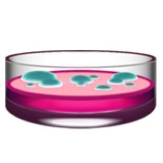 Cover image for 🧫 (Petri Dish Emoji)