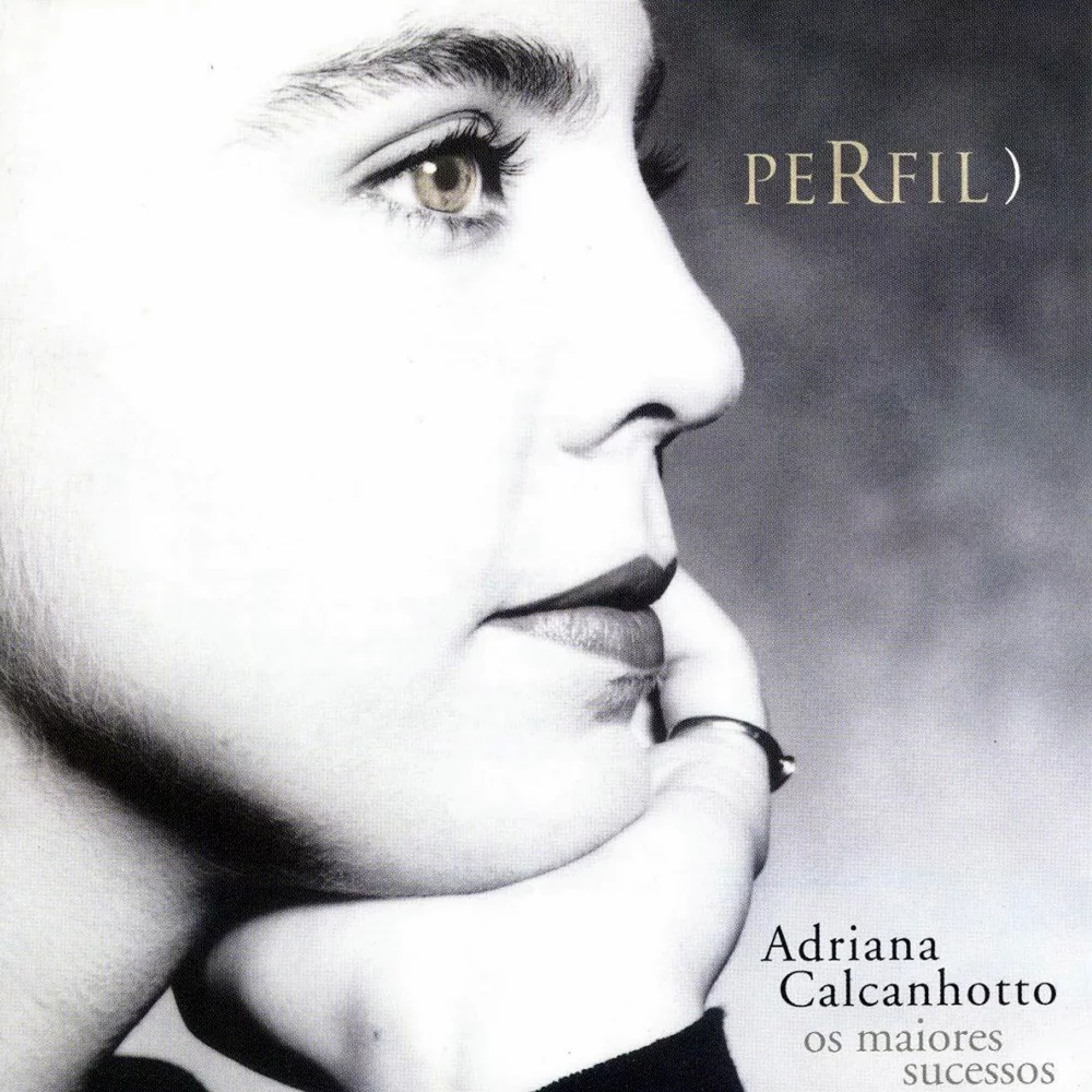 Cover image for Perfil
