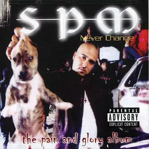 I Must Be High by South Park Mexican