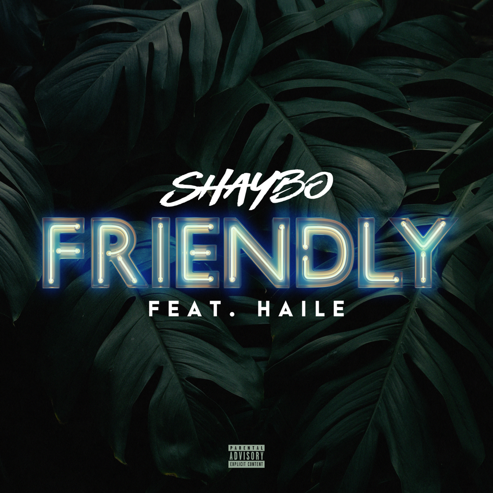Album cover art for "Friendly" by Shaybo & Haile