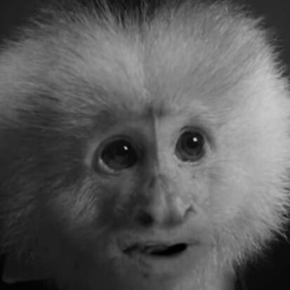 Photo of Jack Cruz