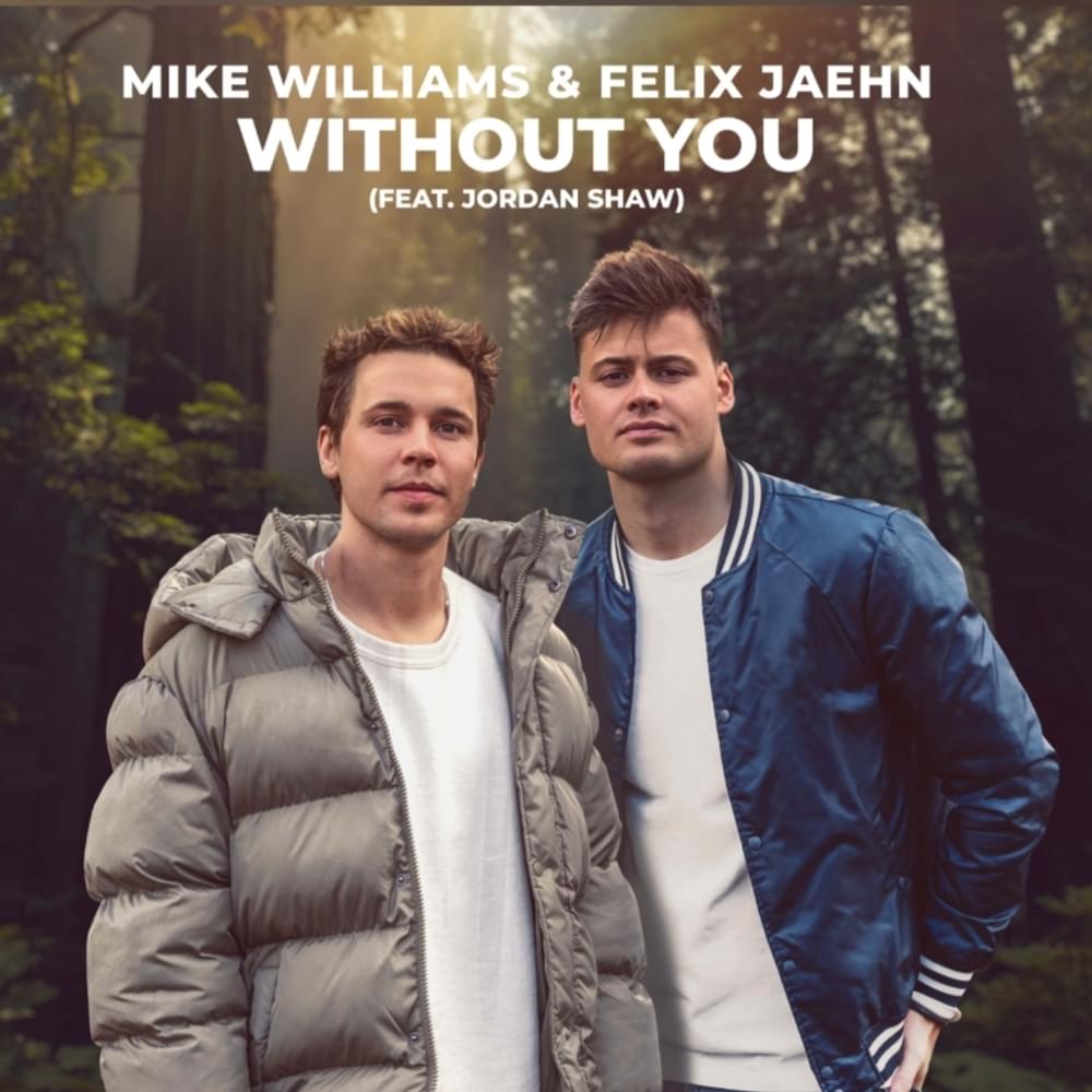 Album cover art for "Without You" by Mike Williams & Jordan Shaw