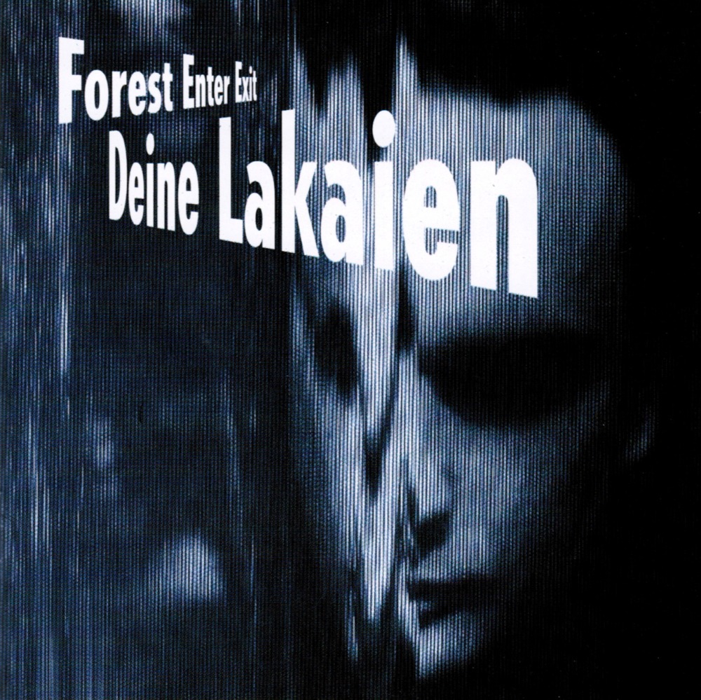 Don’t Wake Me Up by Deine Lakaien
