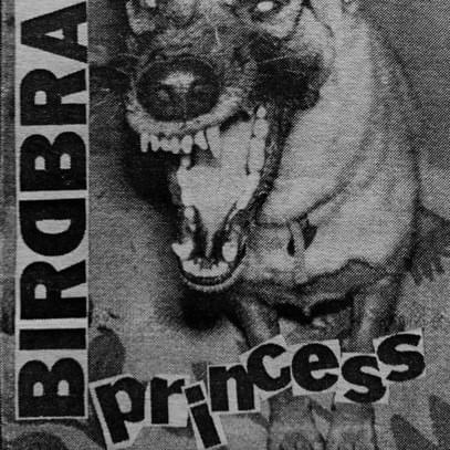 Cover image for Princess