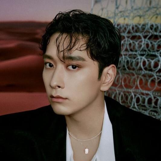 Cover image for Chansung (찬성)