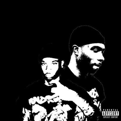 Cover image for 5AVAGE