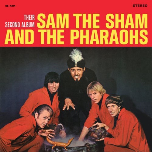 Magic Man by Sam the Sham and the Pharaohs