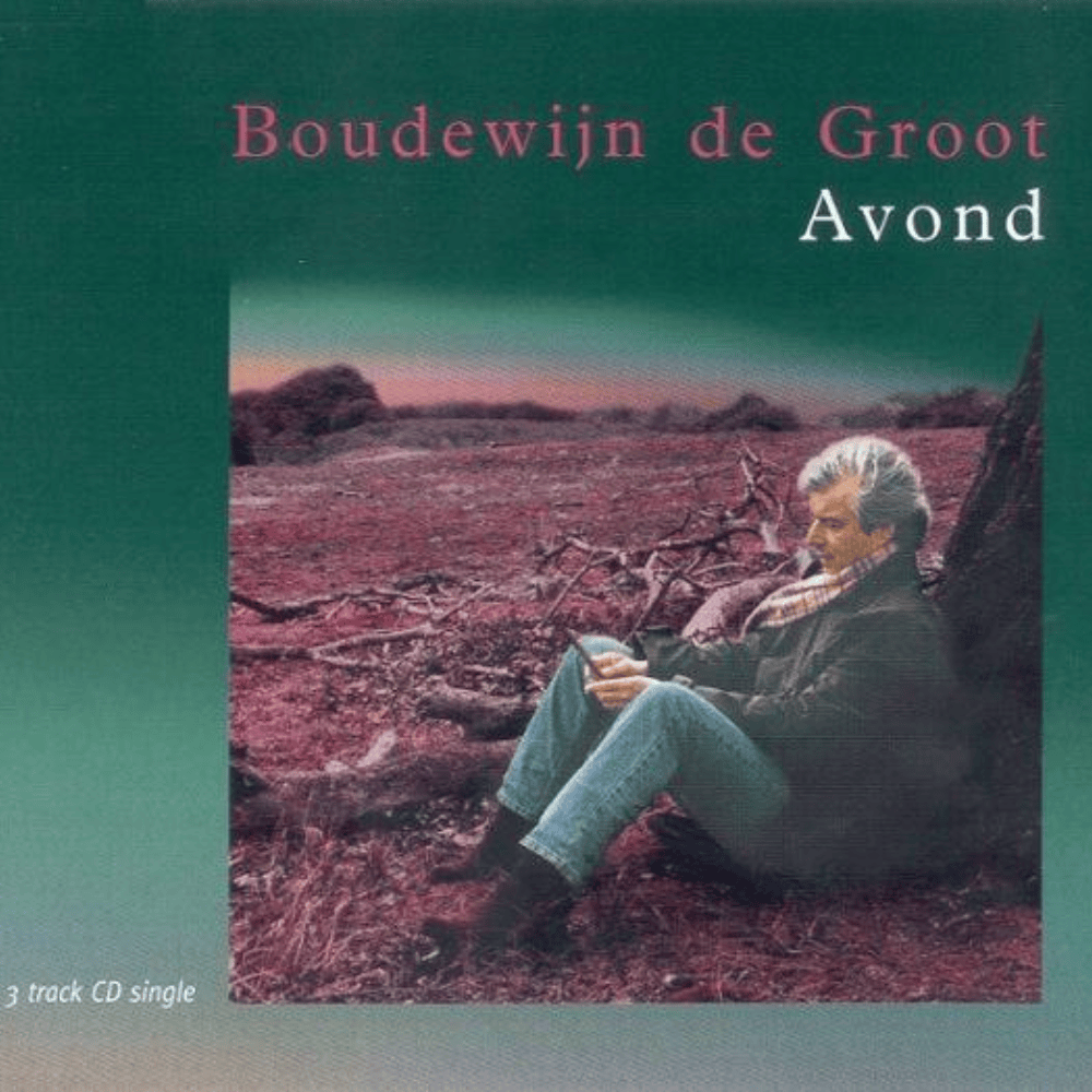 Avond by Boudewijn de Groot