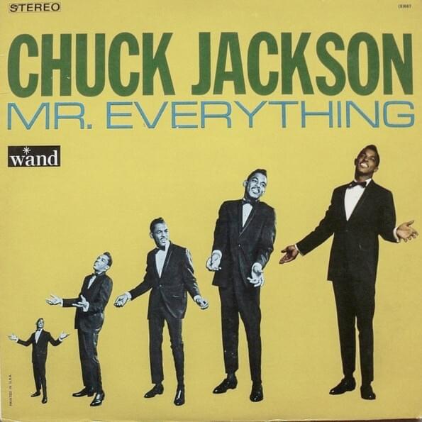 Cover image for Mr. Everything