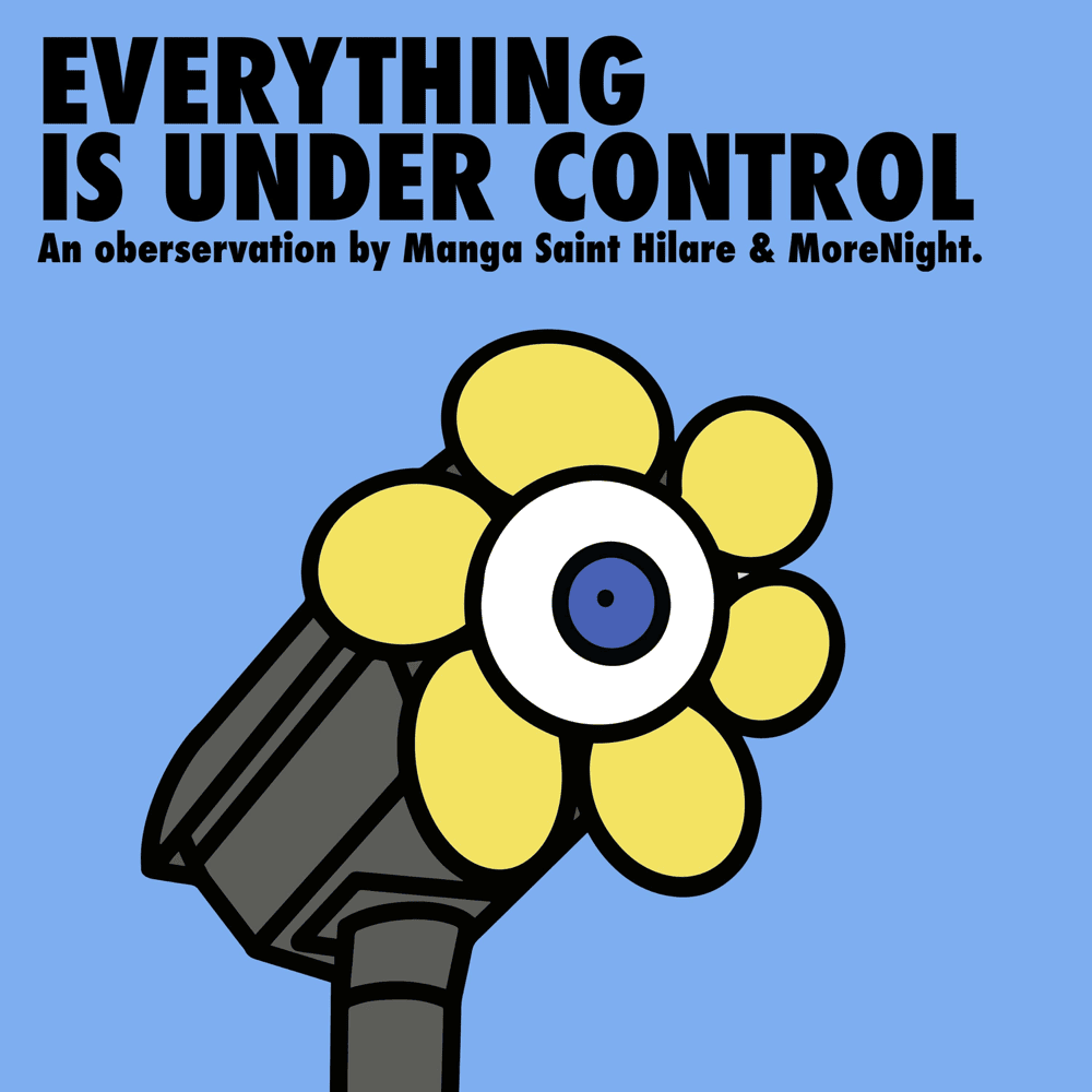 Cover image for Everything Is Under Control