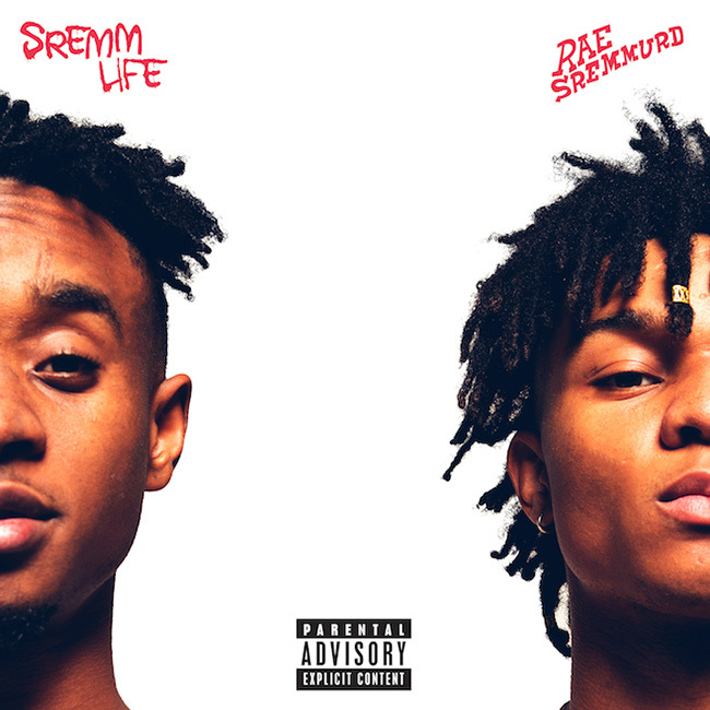 Album cover art for "SremmLife Review (Ft. PsyQonaut)" by ​swinelord & PsyQonaut
