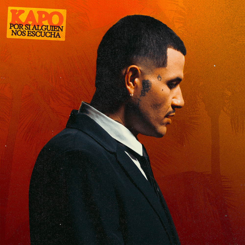 Cover image for POR SI ALGUIEN NOS ESCUCHA