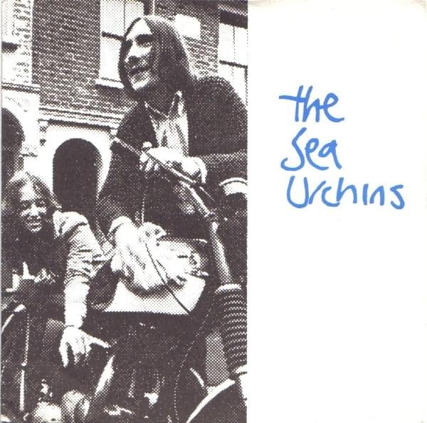 Please Rain Fall by The Sea Urchins