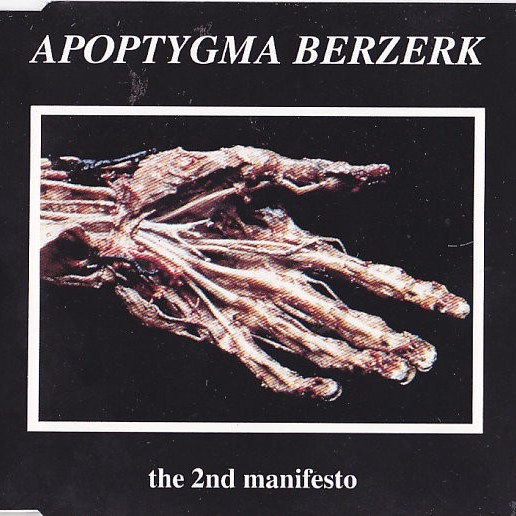 Album cover art for "Burning Heretics (Gothic Version)" by Apoptygma Berzerk