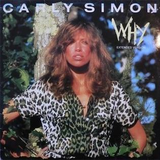 Cover image for Why