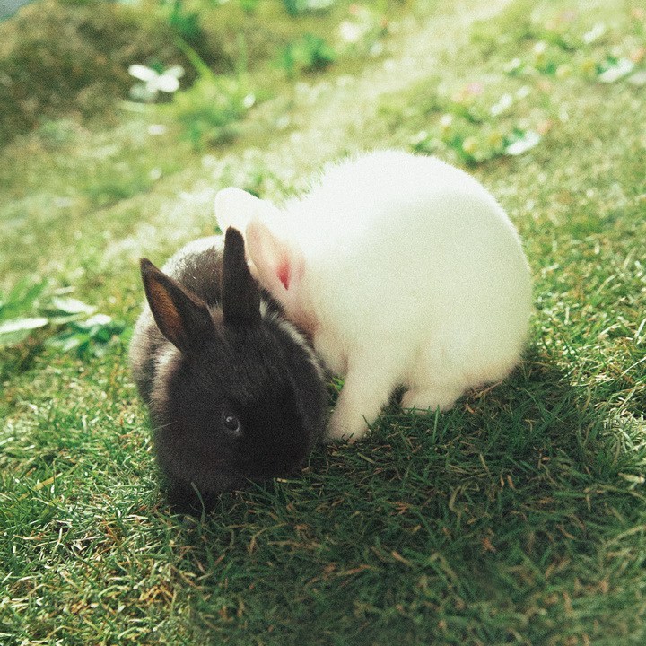 She’s A Baby by ZICO