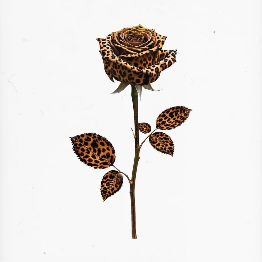 Album cover art for "4L" by Latto & Teyana Taylor