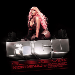 Cover image for FTCU (SLEEZEMIX)