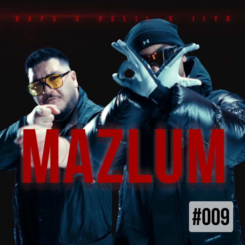 Album cover art for "Mazlum" by Delil
