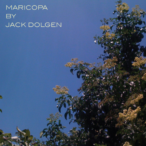 I Will Come For You by Jack Dolgen