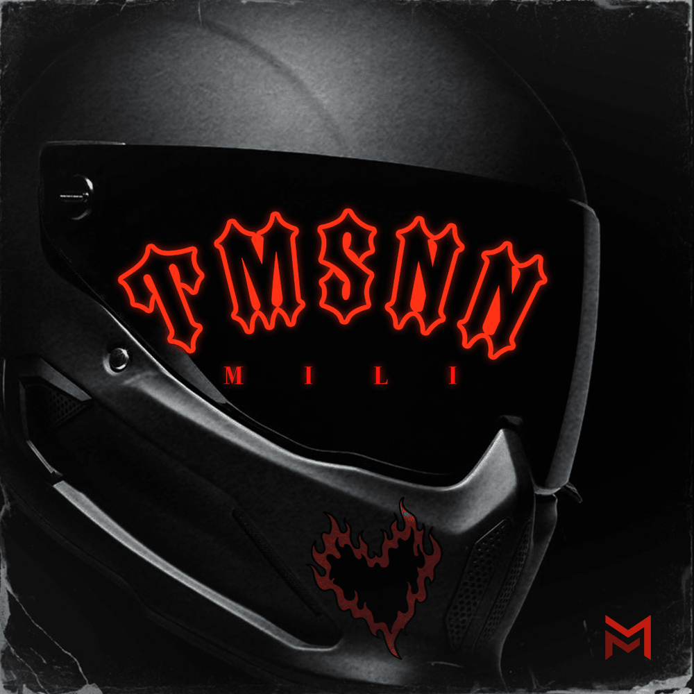 TMSNN by Mili