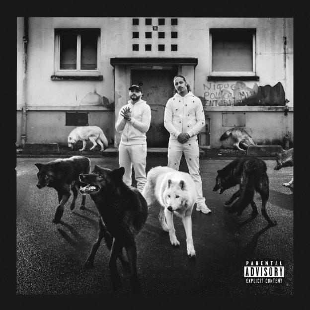 Album cover art for "Possédé" by Skyrock