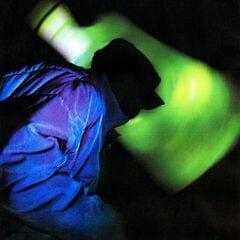 Cover image for Nyluu