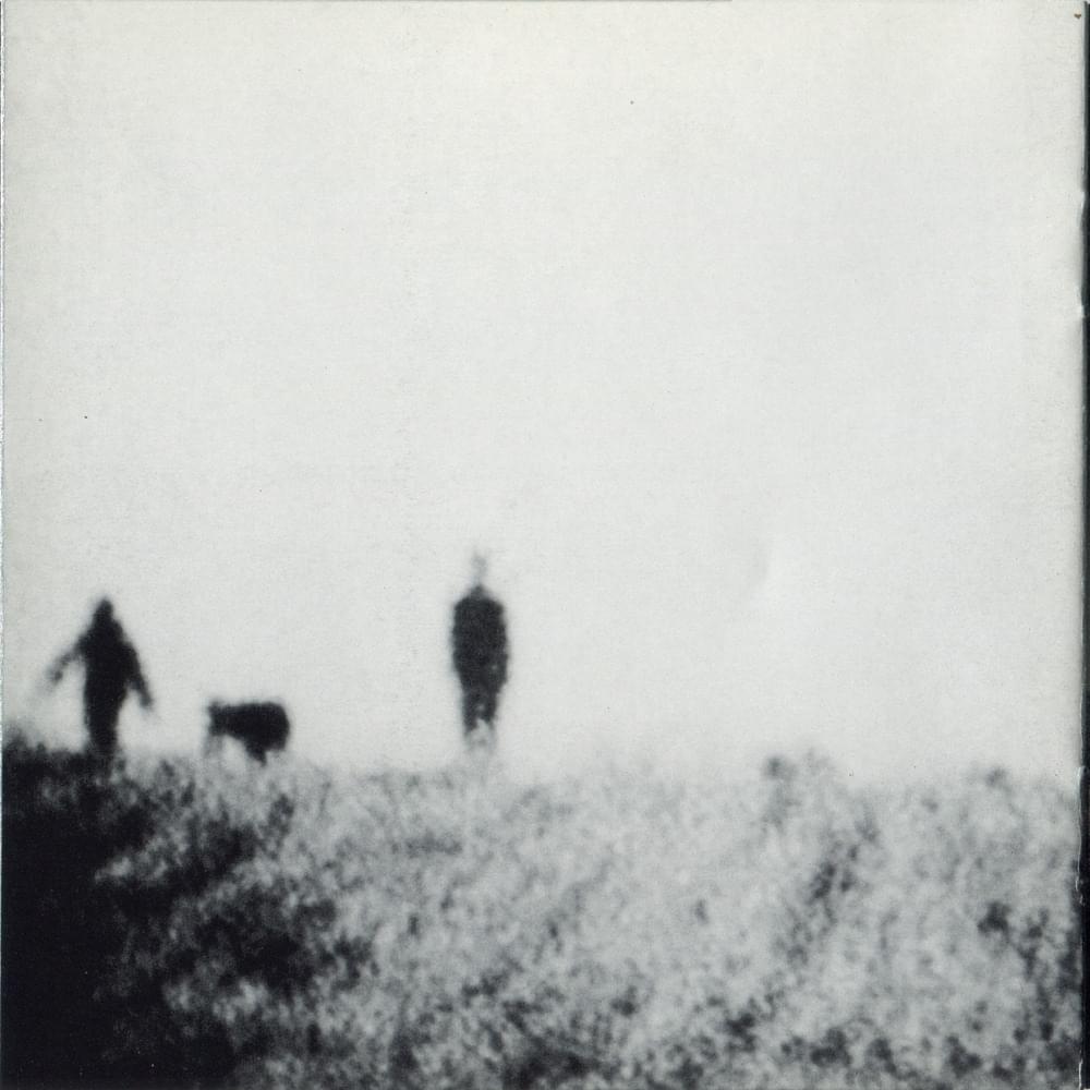 Album cover art for "Signal to Noise" by Peter Gabriel & Nusrat Fateh Ali Khan